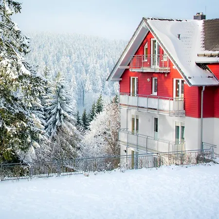 Daire Tannenblick 2-4