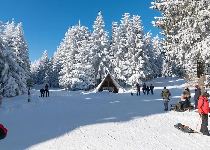 Tannenblick 2-4 Daire