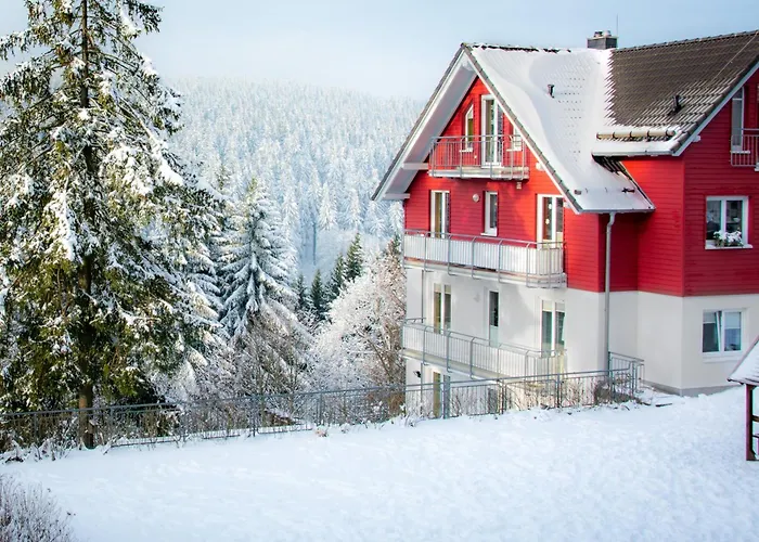 Daire Tannenblick 2-4